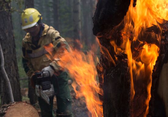 Russia Wildfires
