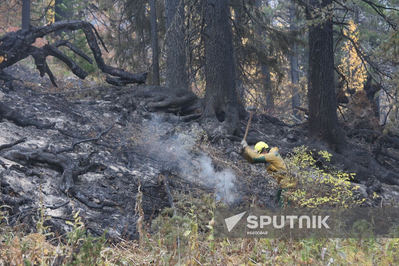 Russia Wildfires
