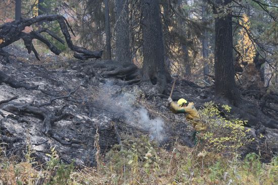 Russia Wildfires
