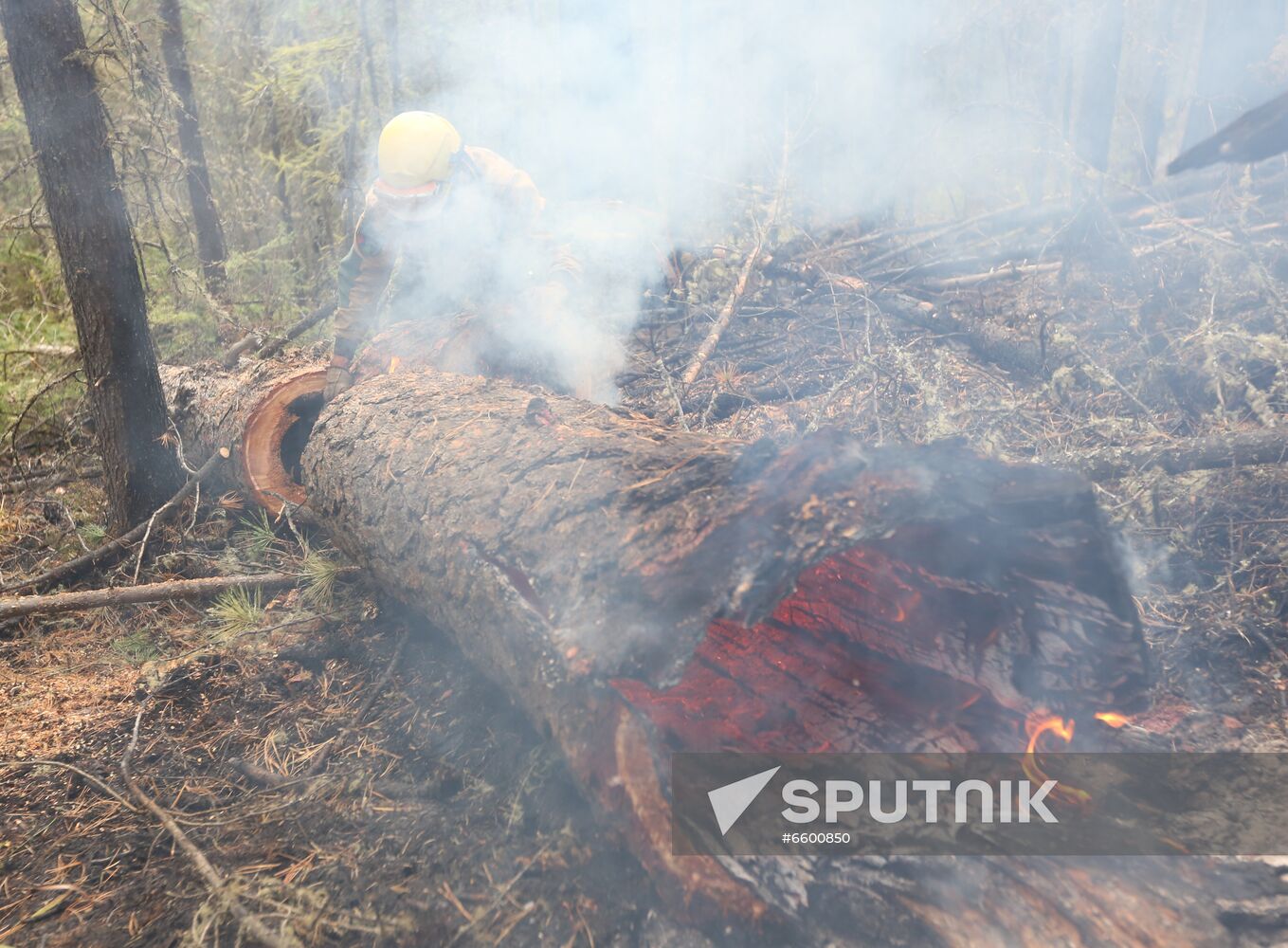 Russia Wildfires