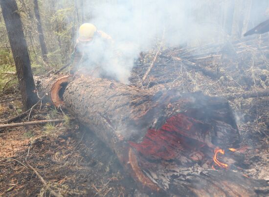 Russia Wildfires