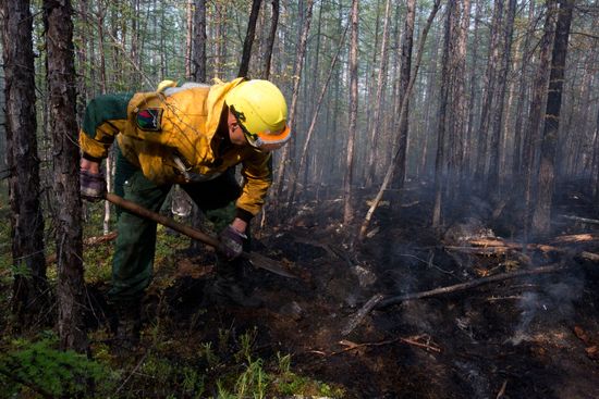 Russia Wildfires