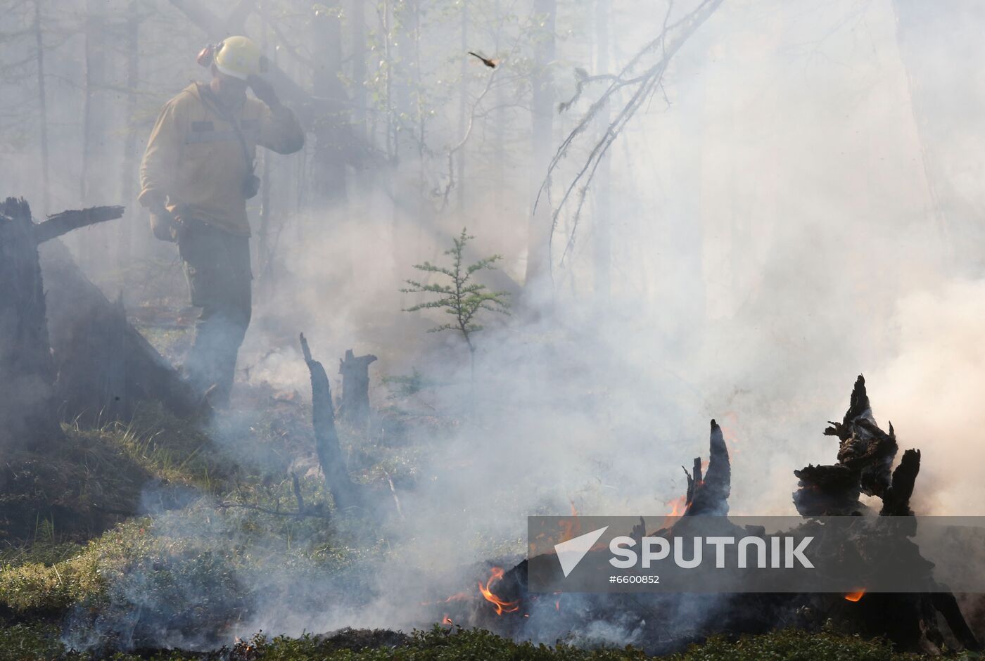 Russia Wildfires