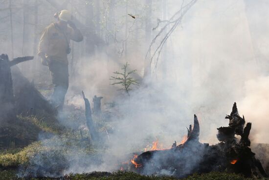 Russia Wildfires