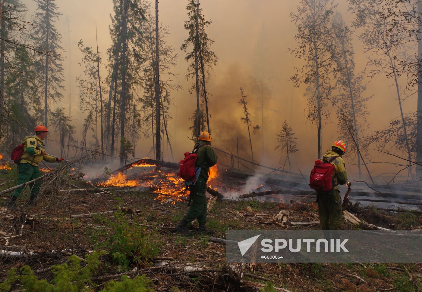 Russia Wildfires