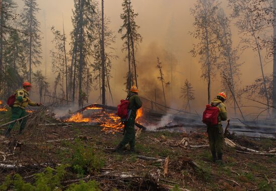 Russia Wildfires