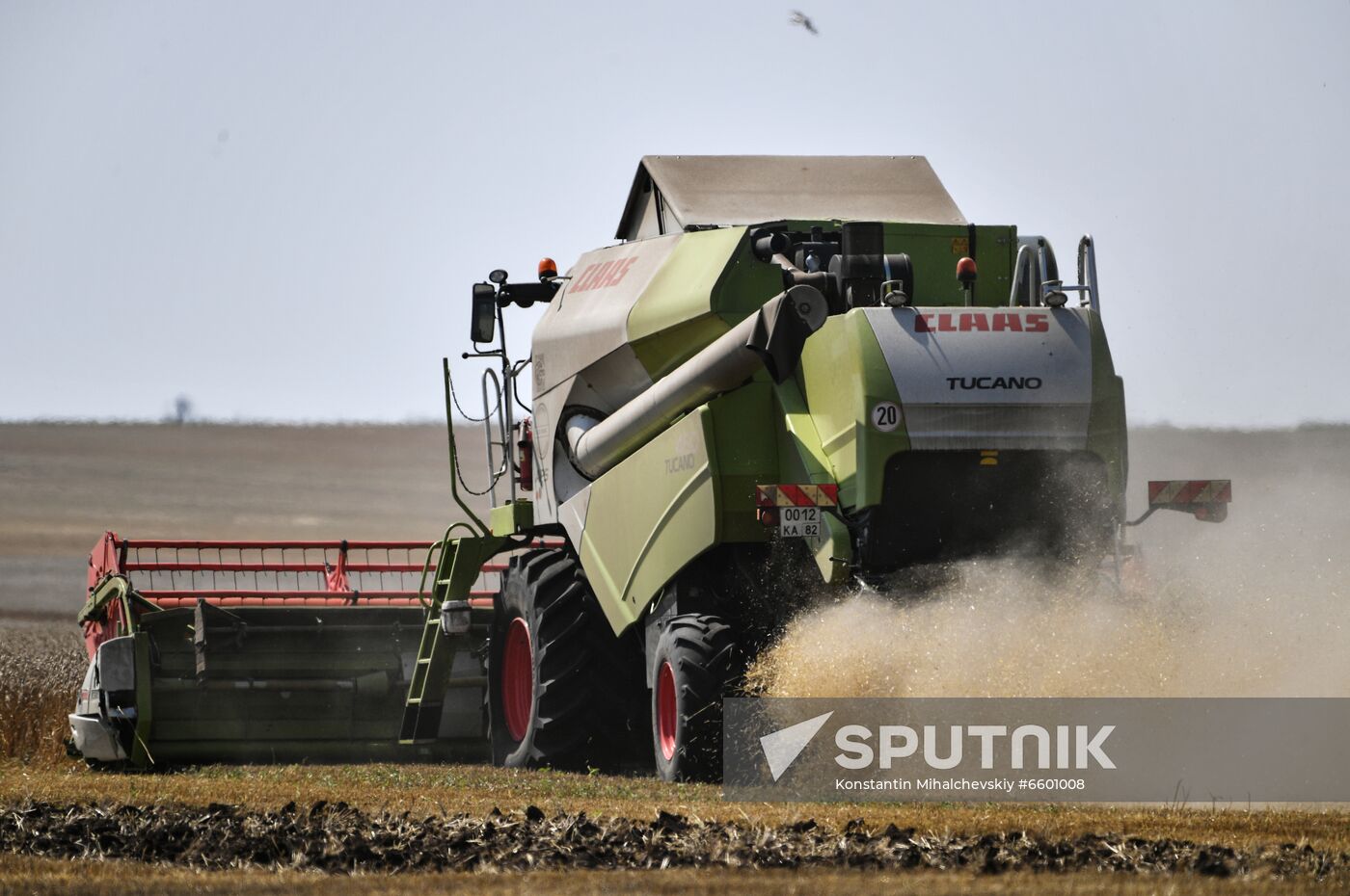 Russia Agriculture Wheat Harvesting