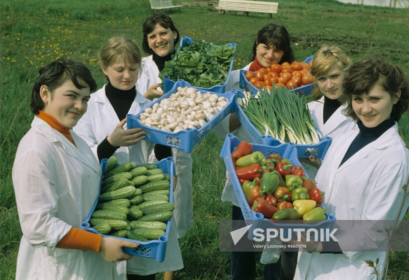 Leningrad Agro-Industrial Association LETO (Leningrad Greenhouse Association)