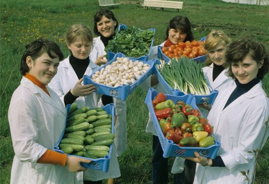 Leningrad Agro-Industrial Association LETO (Leningrad Greenhouse Association)