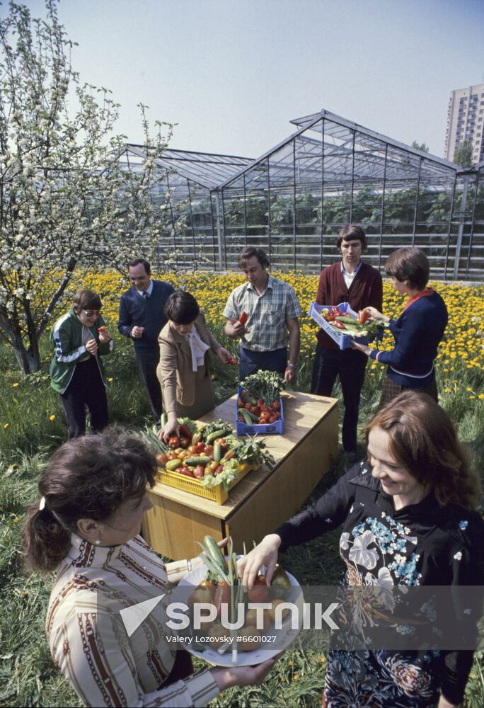 Leningrad Agro-Industrial Association LETO (Leningrad Greenhouse Association)