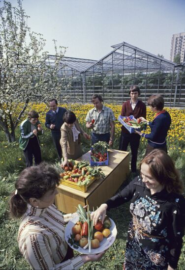 Leningrad Agro-Industrial Association LETO (Leningrad Greenhouse Association)
