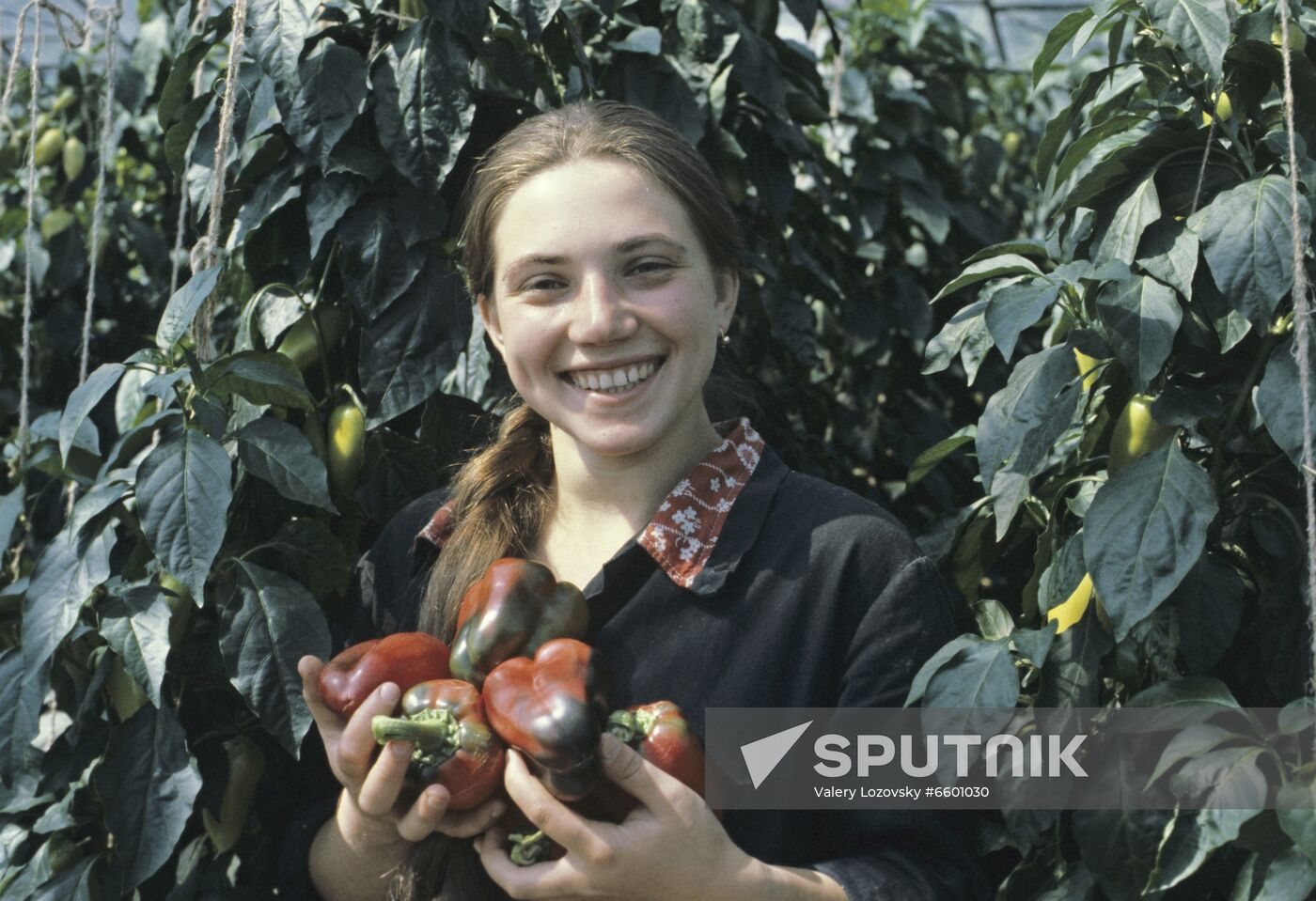 Leningrad Agro-Industrial Association LETO (Leningrad Greenhouse Association)