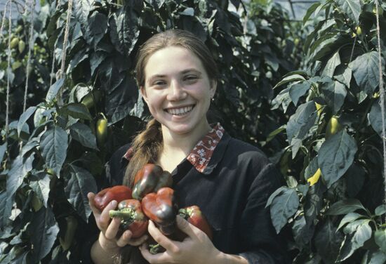 Leningrad Agro-Industrial Association LETO (Leningrad Greenhouse Association)