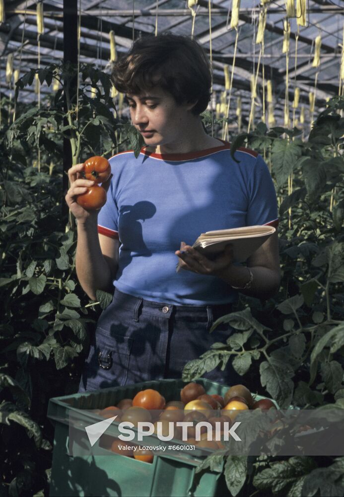 Leningrad Agro-Industrial Association LETO (Leningrad Greenhouse Association)