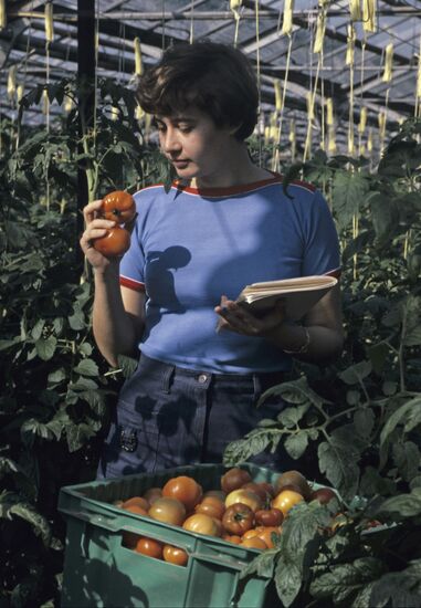 Leningrad Agro-Industrial Association LETO (Leningrad Greenhouse Association)