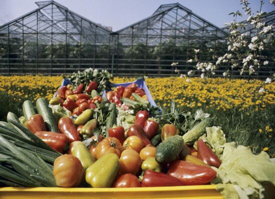 Leningrad Agro-Industrial Association LETO (Leningrad Greenhouse Association)