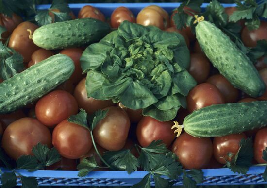 Leningrad Agro-Industrial Association LETO (Leningrad Greenhouse Association)