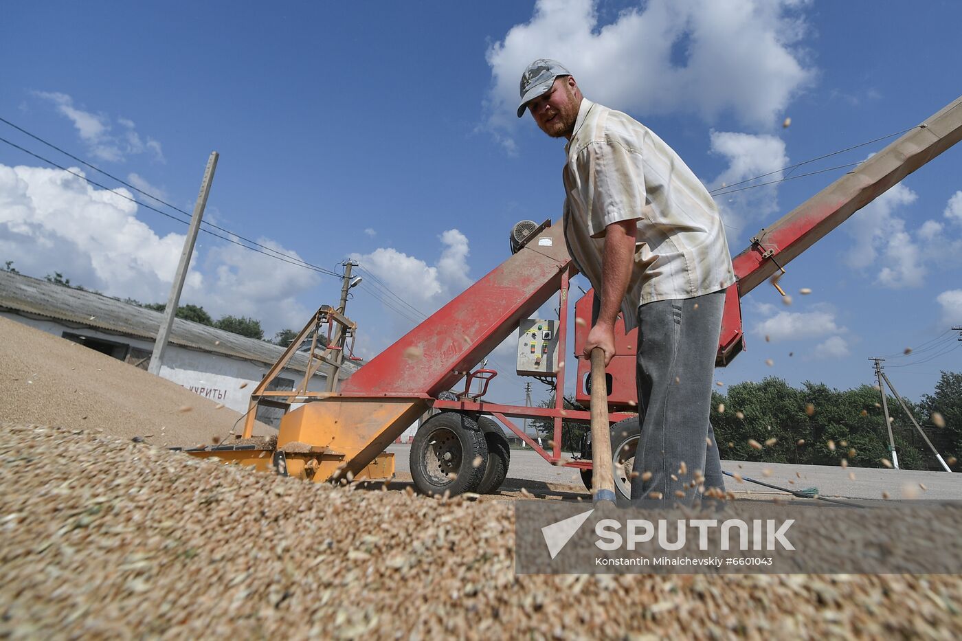 Russia Agriculture Wheat Harvesting