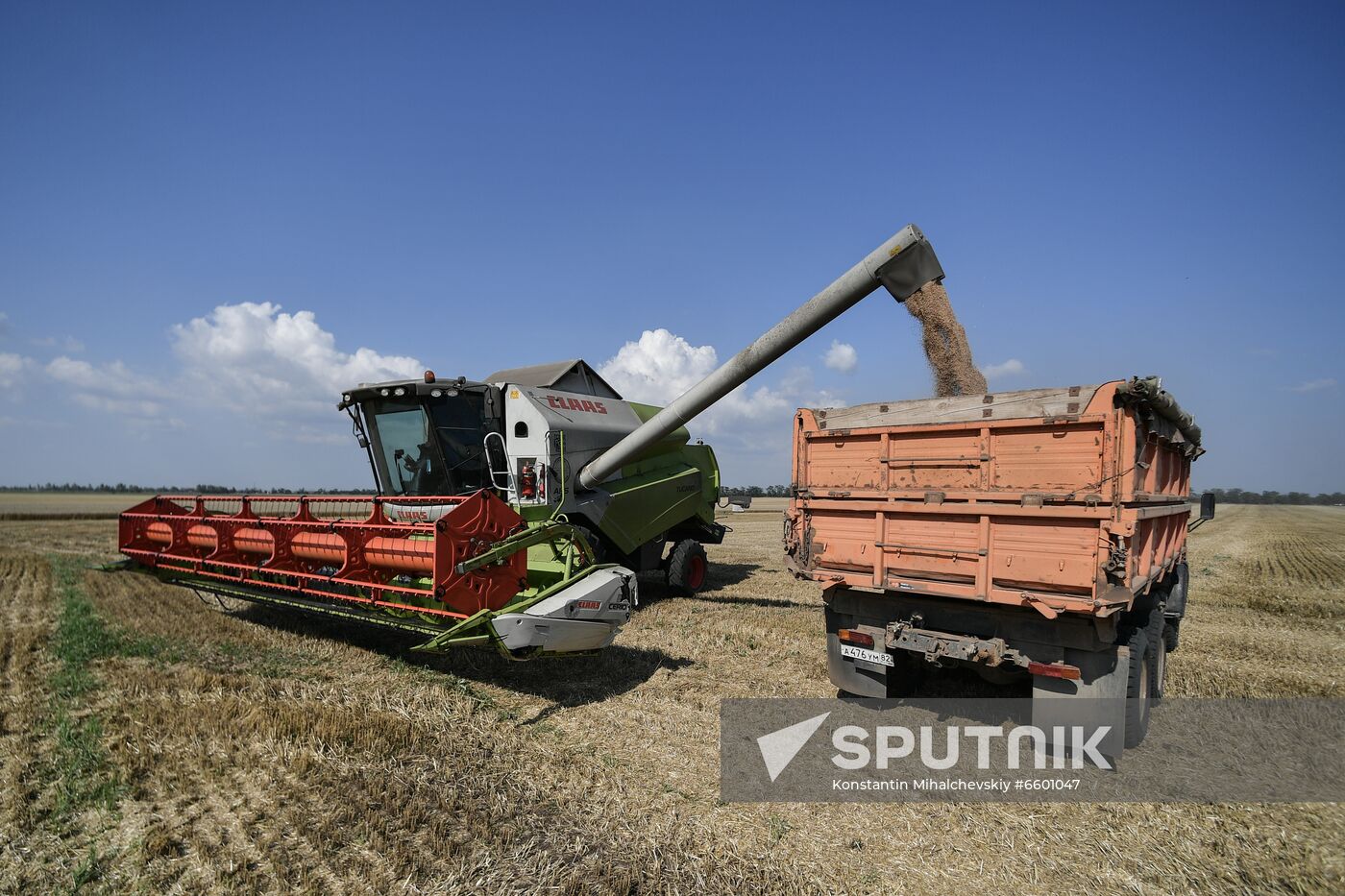 Russia Agriculture Wheat Harvesting