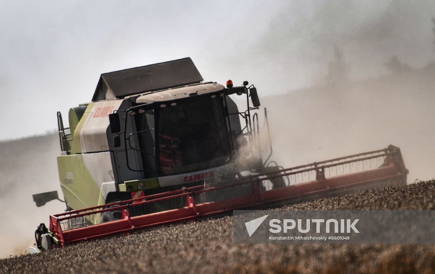 Russia Agriculture Wheat Harvesting