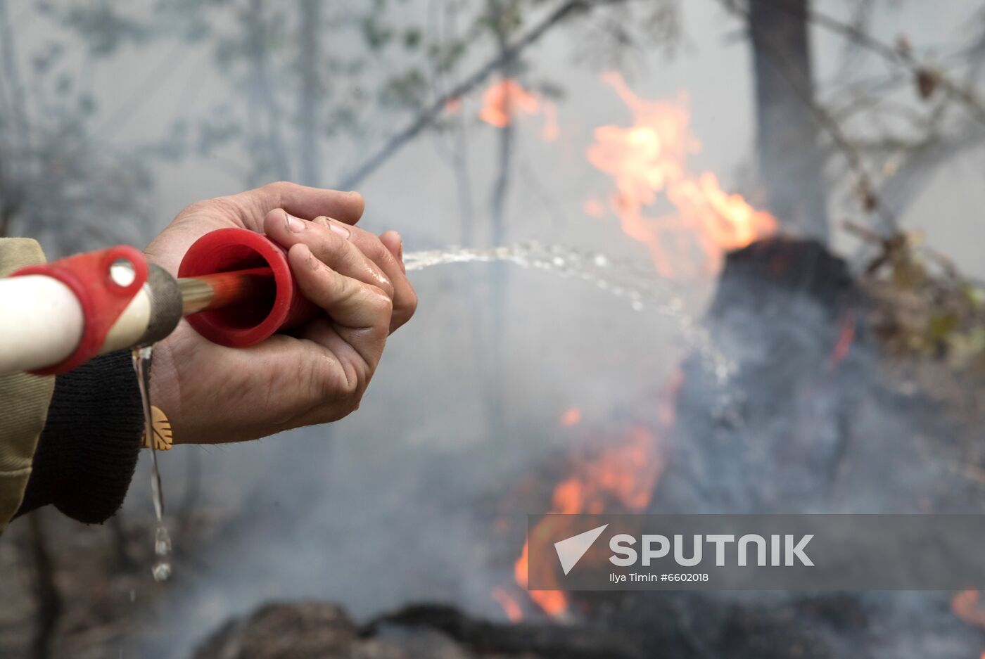 Wild fire in Karelia