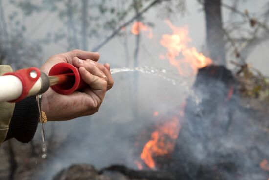 Wild fire in Karelia