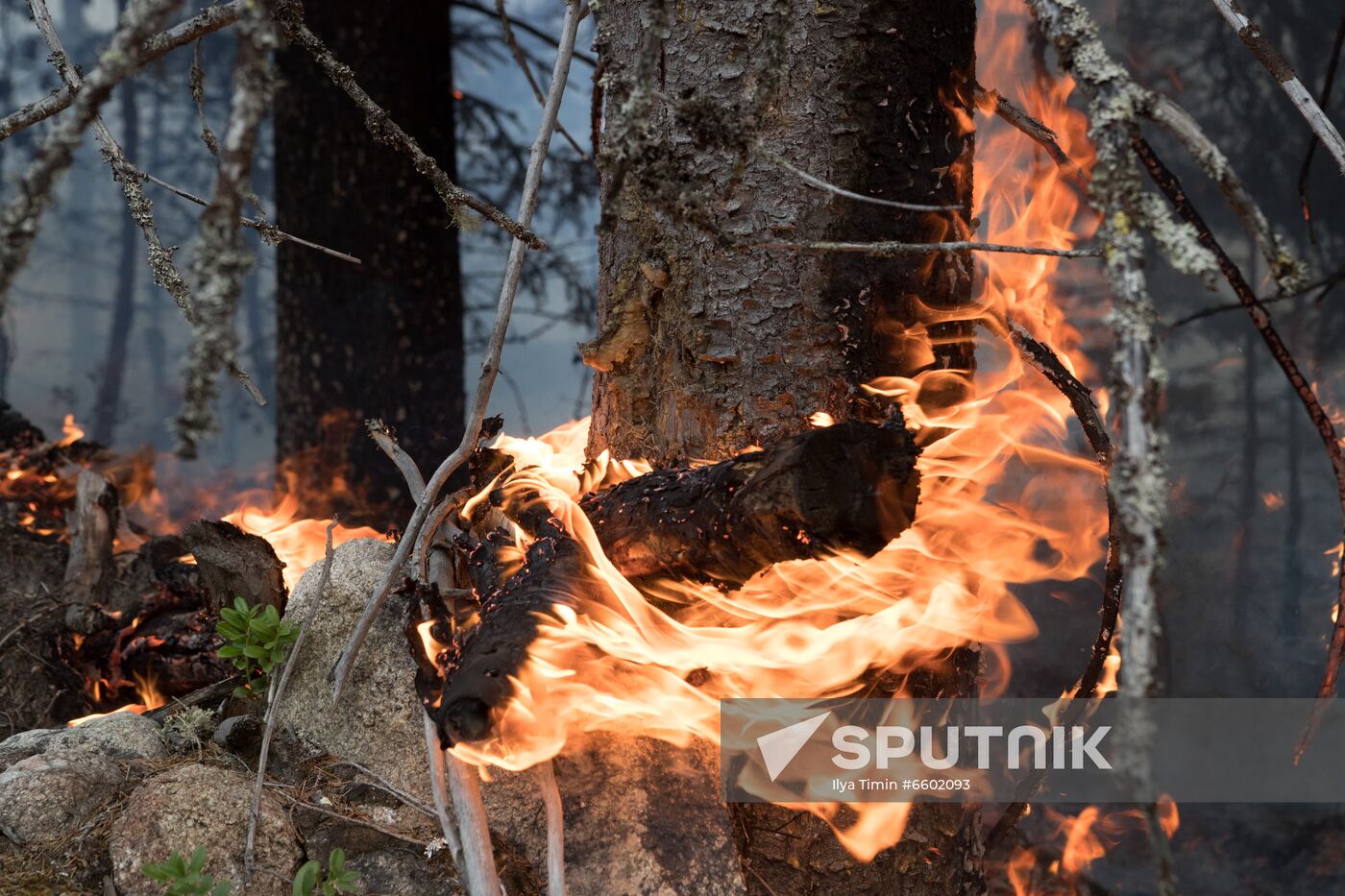 Russia Wildfires