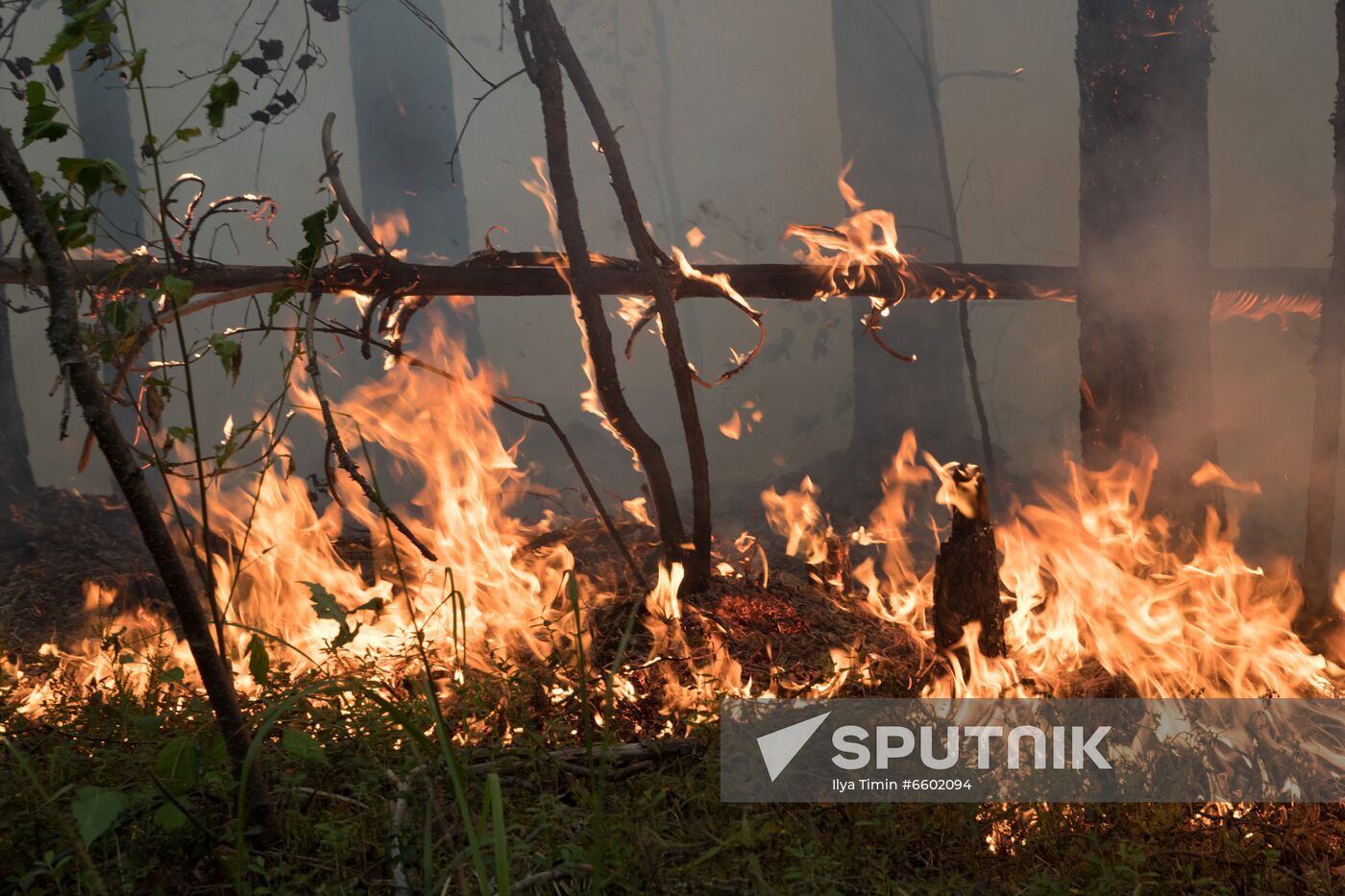Russia Wildfires