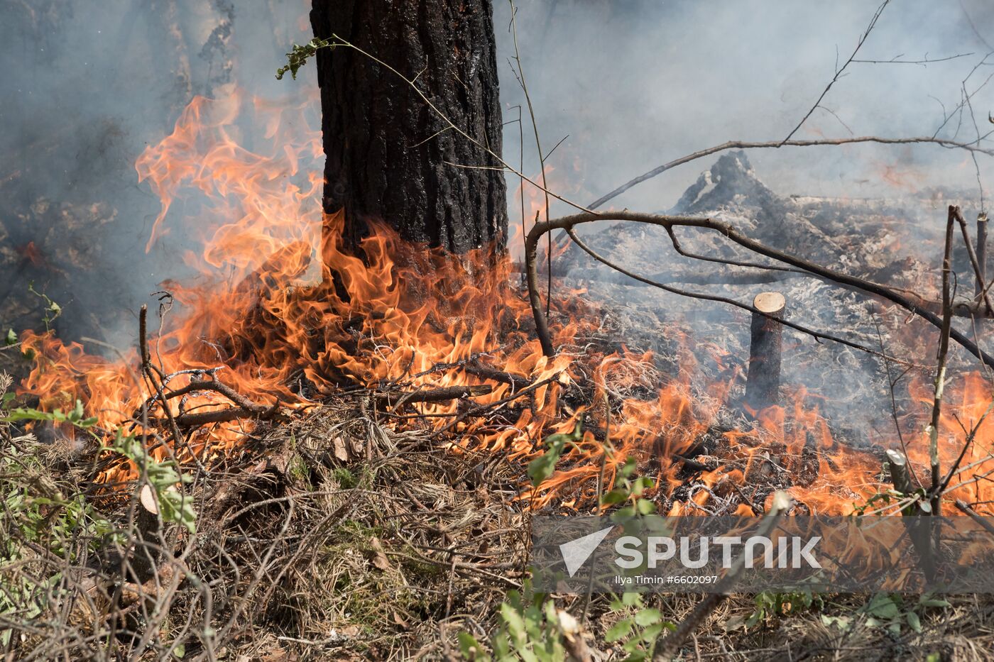 Russia Wildfires