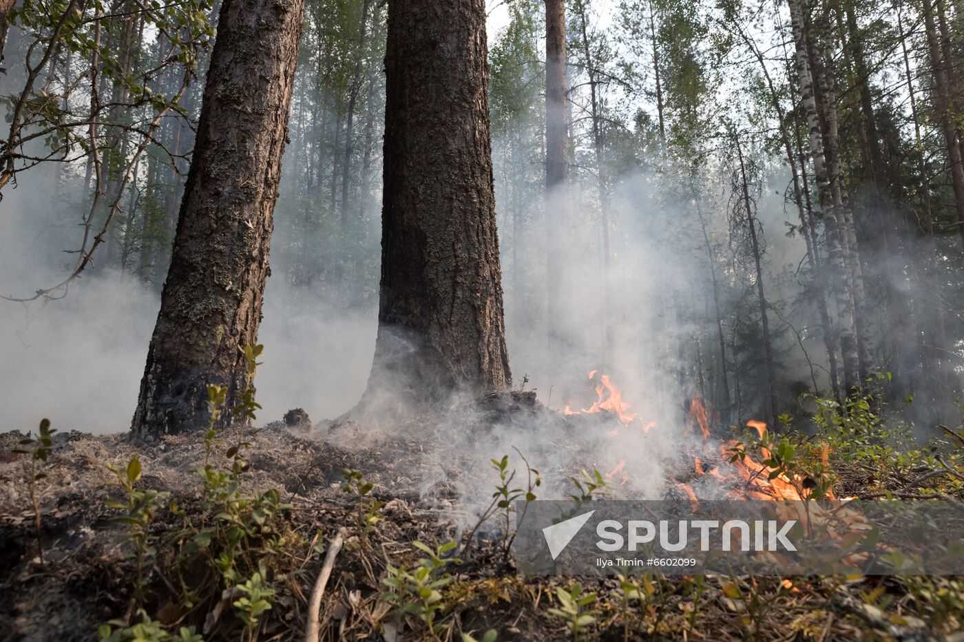 Russia Wildfires
