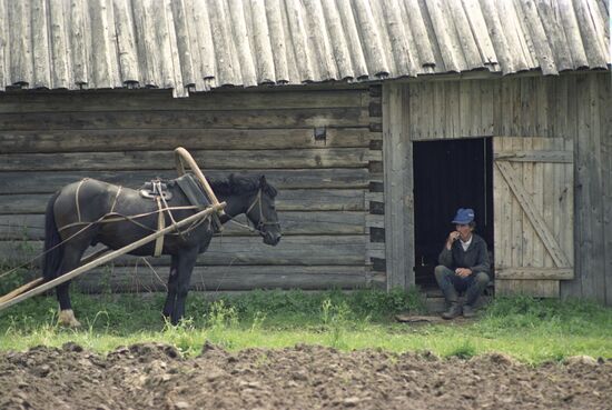 Nikolai Sivkov's farm