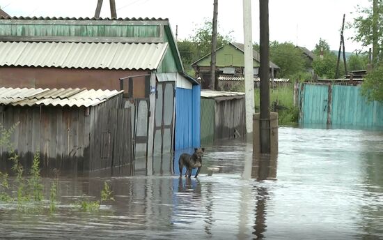 Russia Flood