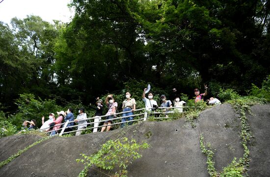 Japan Olympics 2020 Cycling Road Men