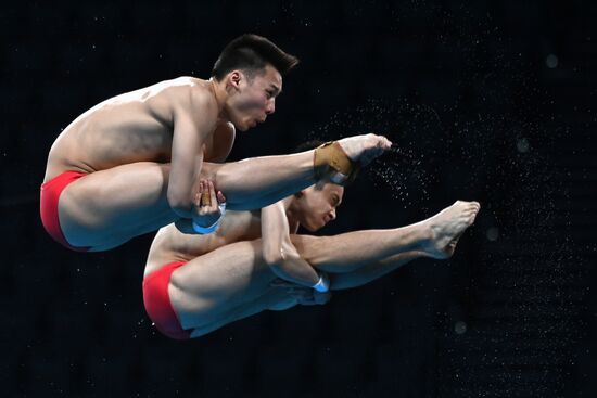 Japan Olympics 2020 Diving Men