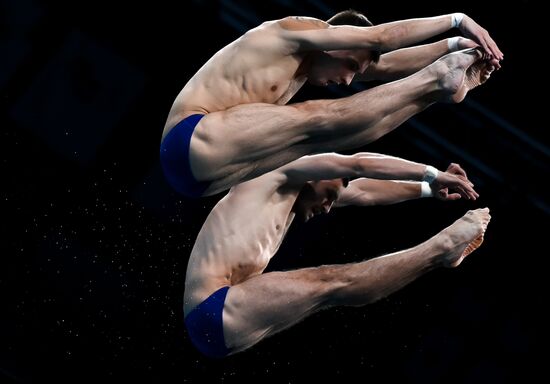 Japan Olympics 2020 Diving Men