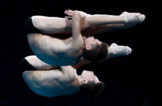 Japan Olympics 2020 Diving Men