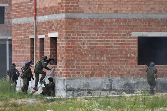 Ukraine NATO Three Swords Military Drills