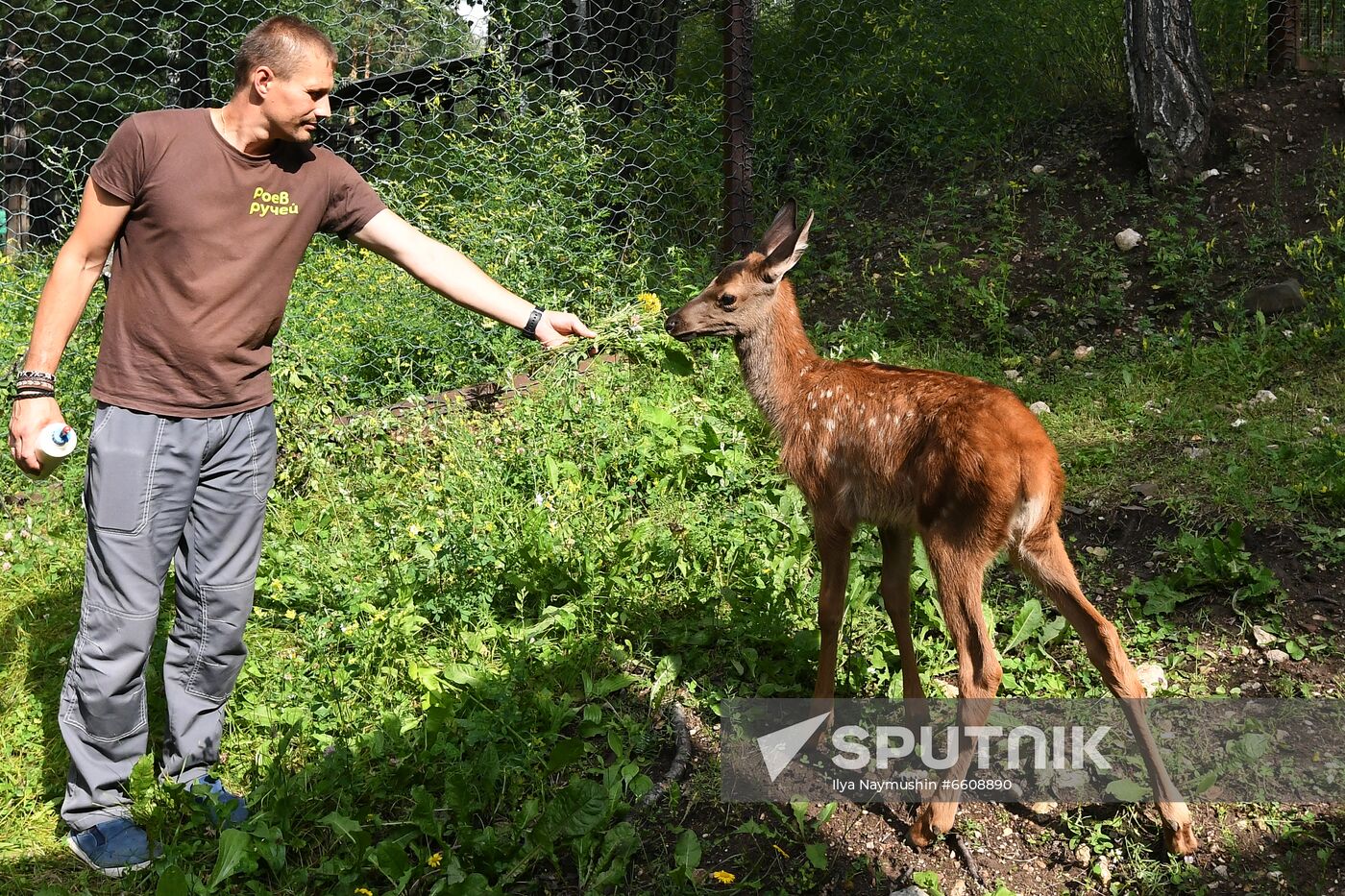 Russia Zoo