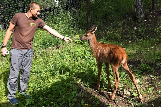 Russia Zoo