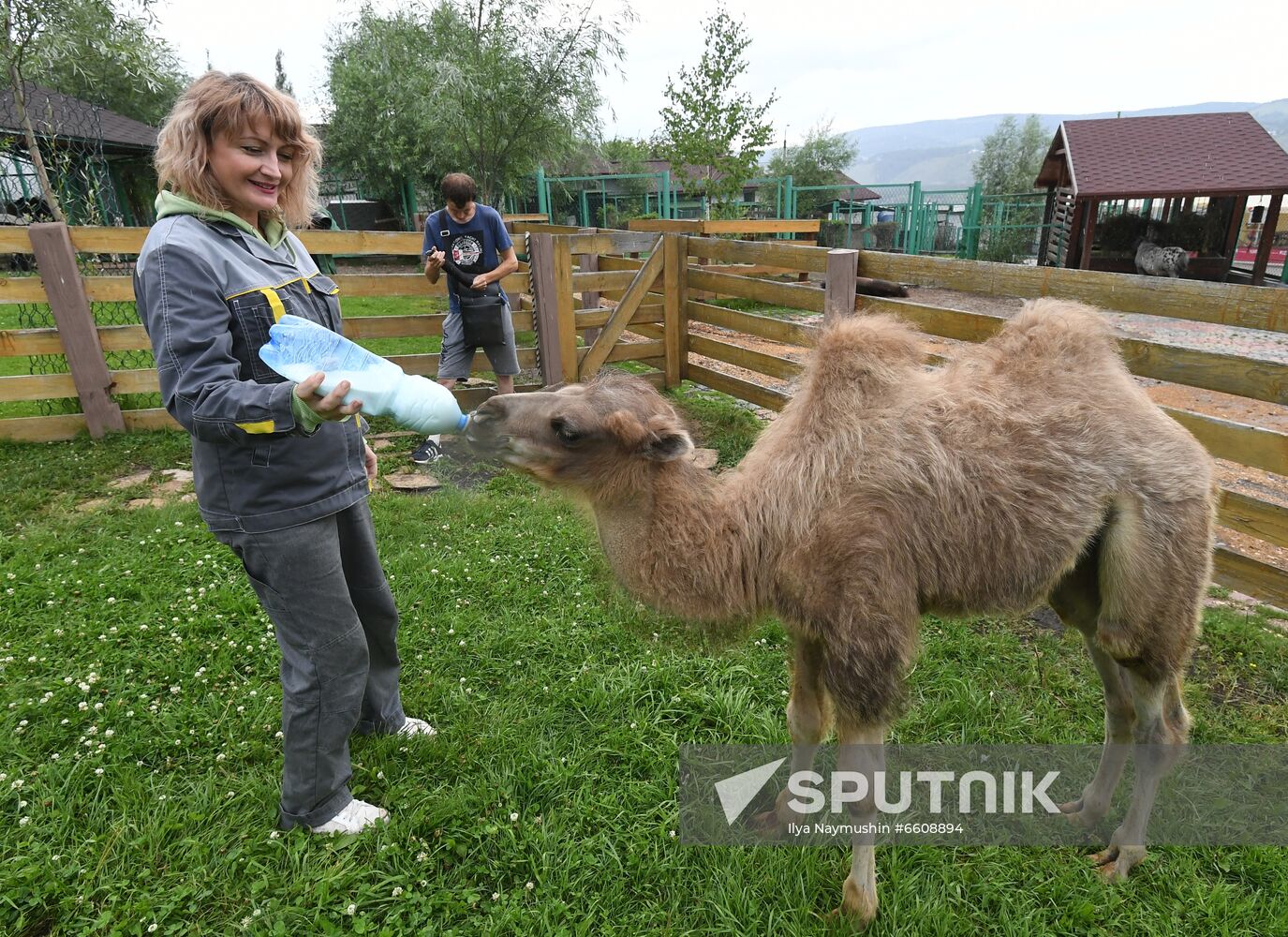 Russia Zoo