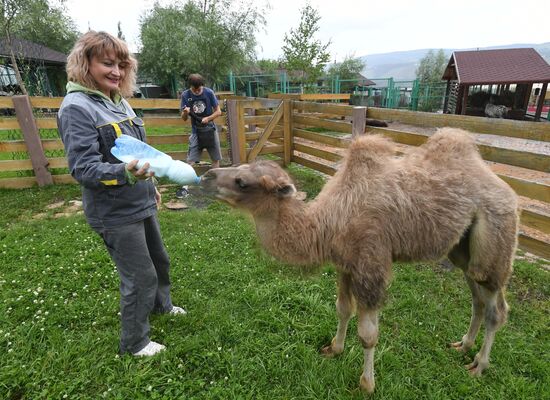 Russia Zoo