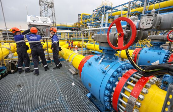 Russia Amur Gas Processing Plant