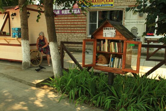 Street libraries in Tarusa