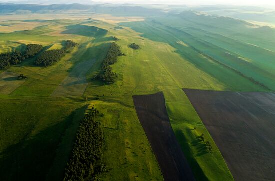 Russia Agriculture Wheat Harvesting