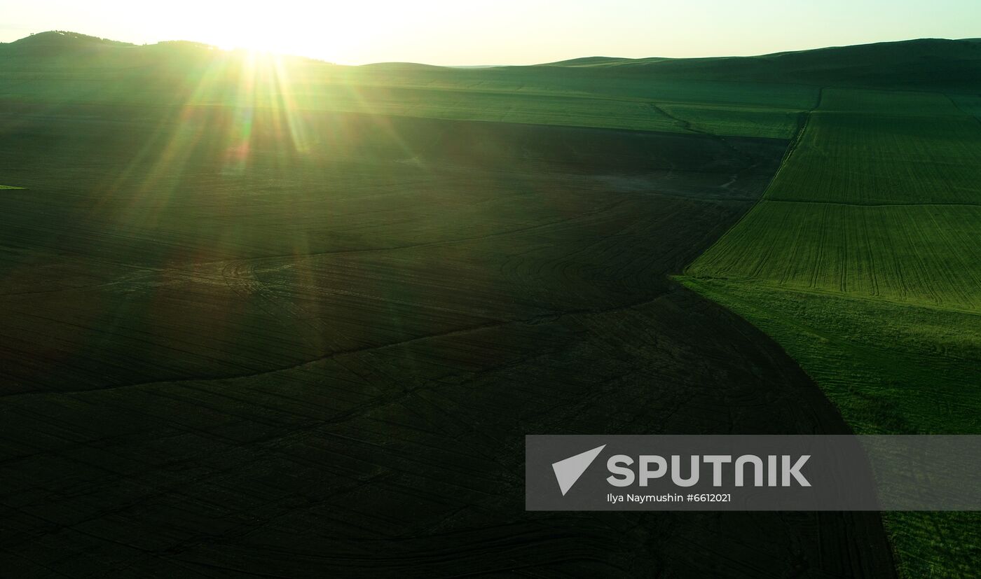 Russia Agriculture Wheat Harvesting