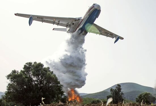 Turkey Wildfires
