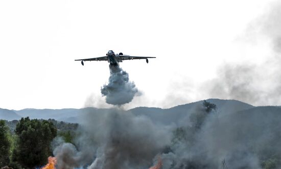 Turkey Wildfires
