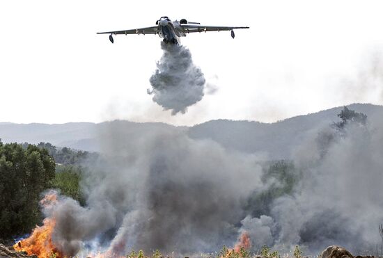 Turkey Wildfires