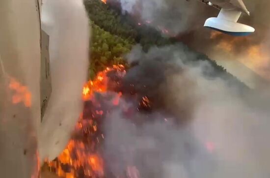 Turkey Wildfires