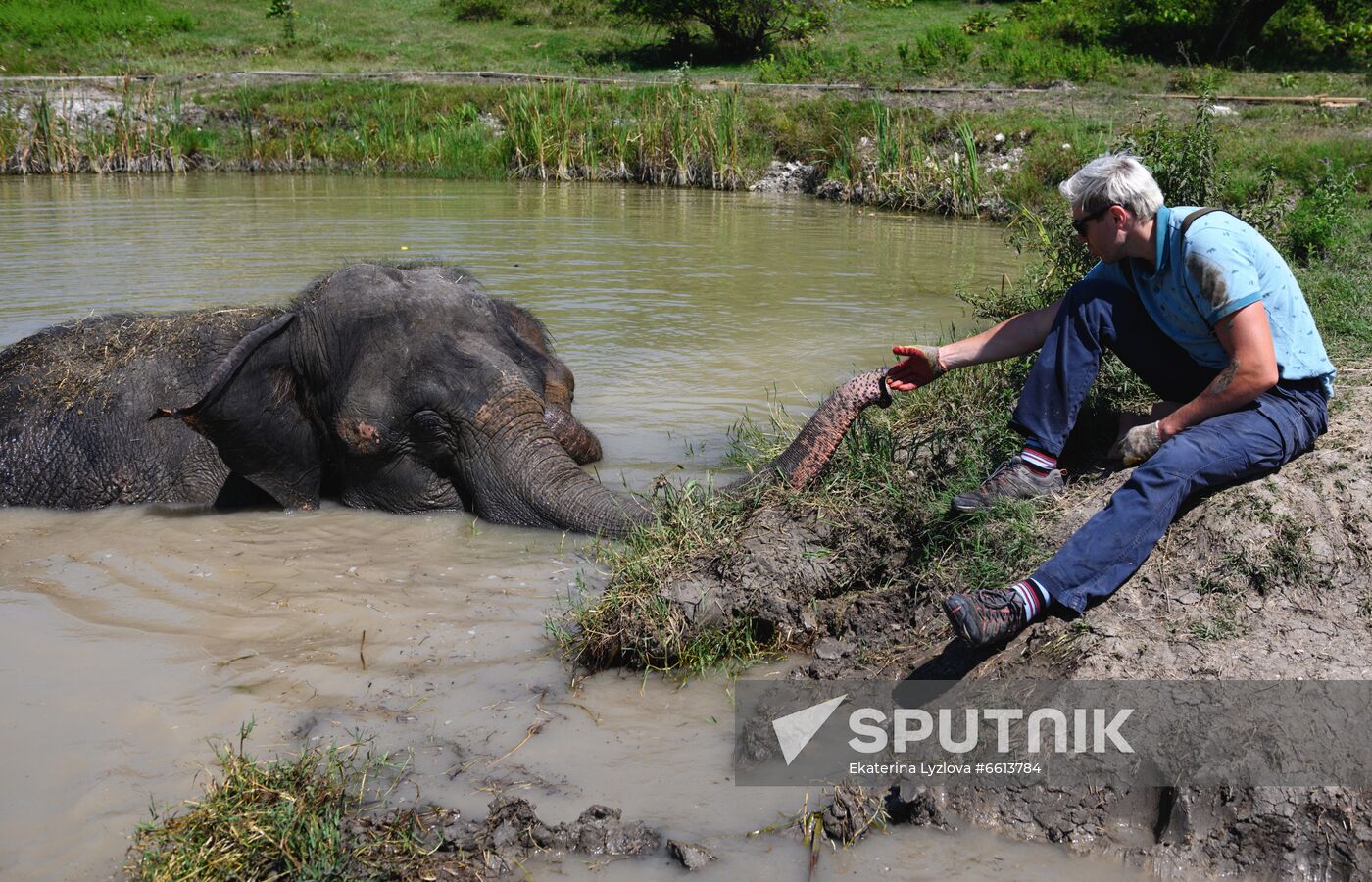 Russia  Elephants Sanatorium